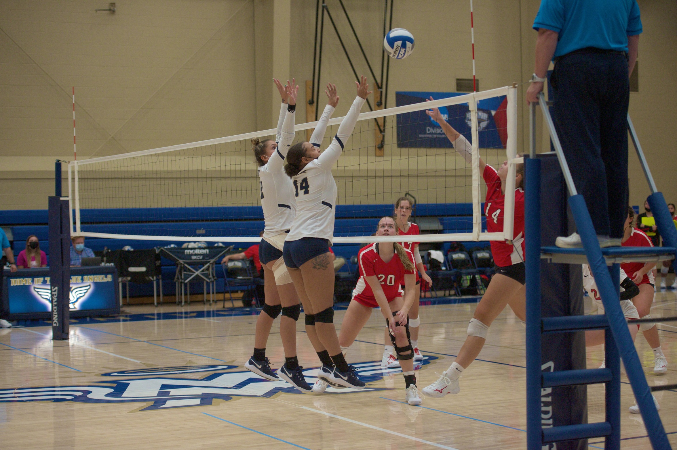 Volleyball Concludes Regular Season at WLC