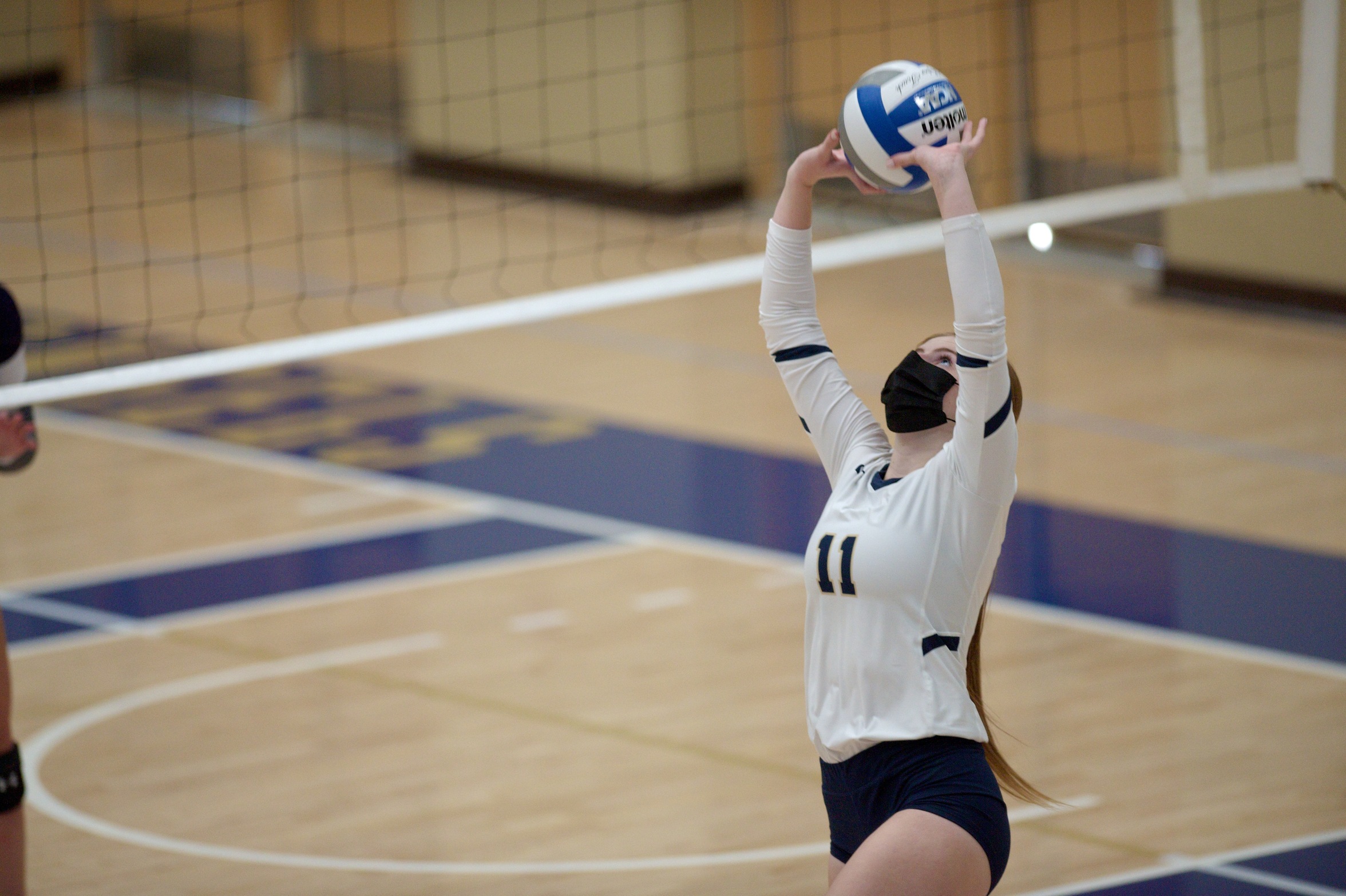 Feline Foes Hold Off Volleyball at LU Invite
