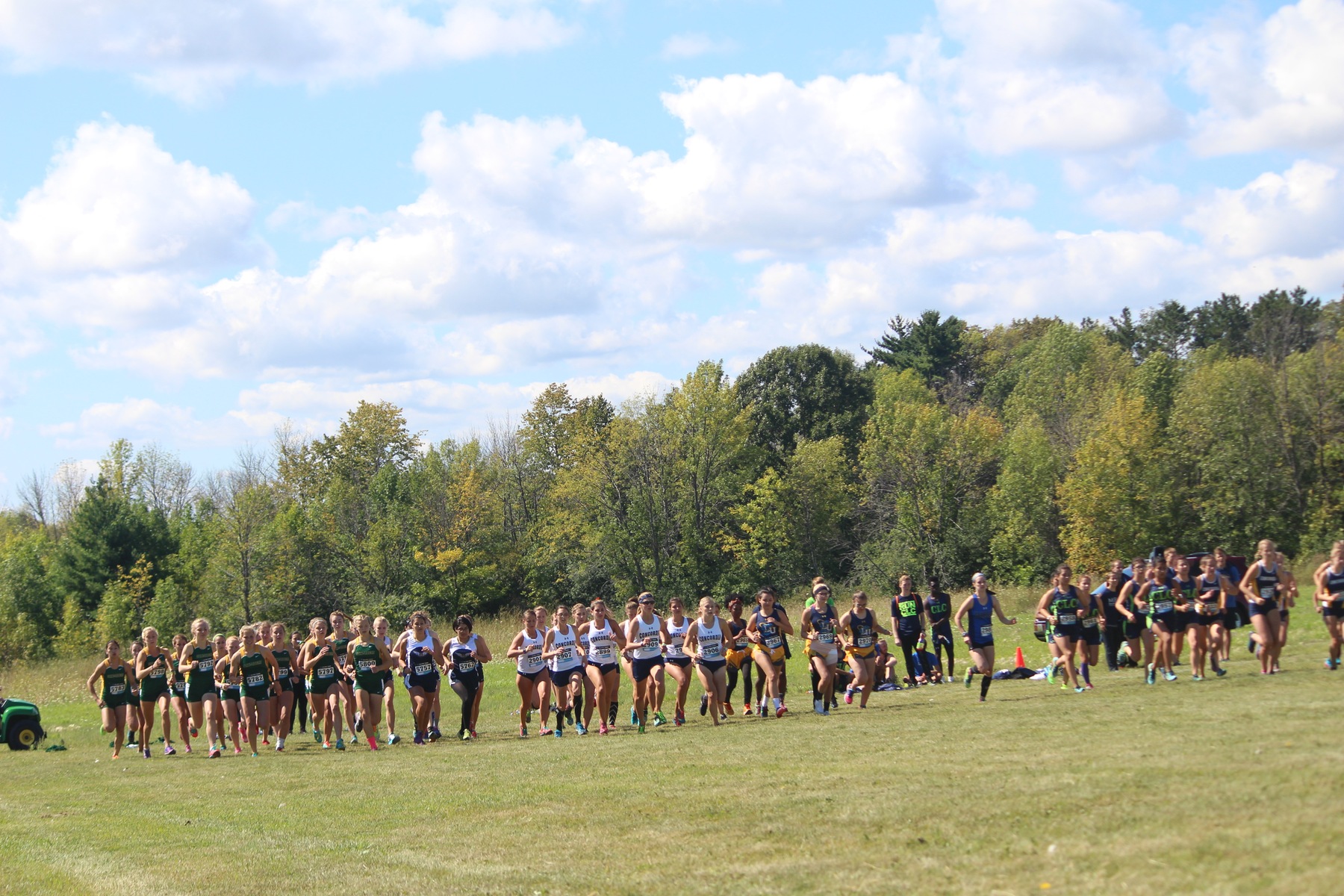 2019 Mount Mary University Cross Country Preview